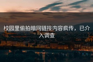 校园里偷拍暗网链接内容疯传，已介入调查