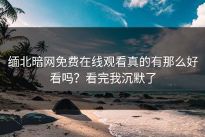 缅北暗网免费在线观看真的有那么好看吗？看完我沉默了