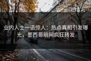 业内人士一语惊人：热点真相引发曝光，墨西哥暗网疯狂转发