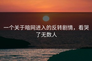 一个关于暗网进入的反转剧情，看哭了无数人