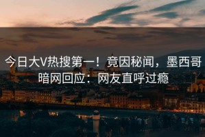 今日大V热搜第一！竟因秘闻，墨西哥暗网回应：网友直呼过瘾