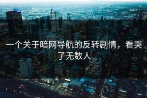 一个关于暗网导航的反转剧情，看哭了无数人