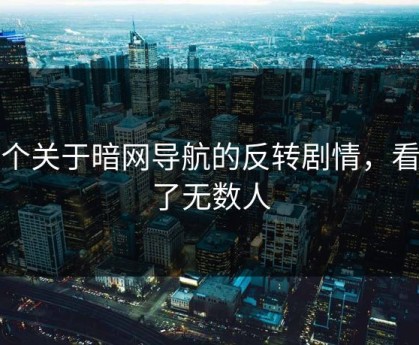 一个关于暗网导航的反转剧情，看哭了无数人