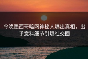 今晚墨西哥暗网神秘人爆出真相，出乎意料细节引爆社交圈