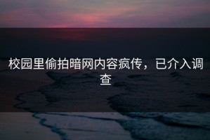 校园里偷拍暗网内容疯传，已介入调查