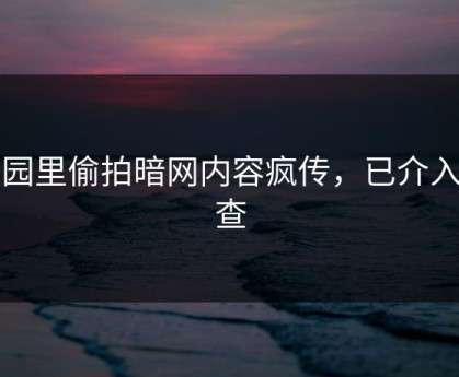 校园里偷拍暗网内容疯传，已介入调查