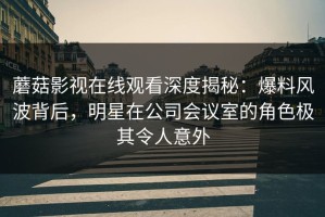 蘑菇影视在线观看深度揭秘：爆料风波背后，明星在公司会议室的角色极其令人意外