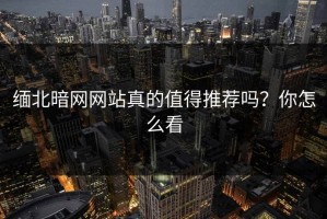 缅北暗网网站真的值得推荐吗？你怎么看