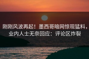 刚刚风波再起！墨西哥暗网惊现猛料，业内人士无奈回应：评论区炸裂