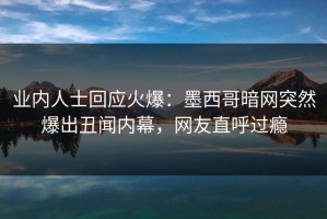 业内人士回应火爆：墨西哥暗网突然爆出丑闻内幕，网友直呼过瘾