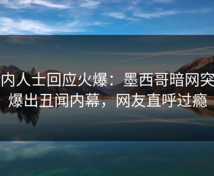 业内人士回应火爆：墨西哥暗网突然爆出丑闻内幕，网友直呼过瘾