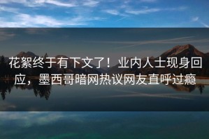 花絮终于有下文了！业内人士现身回应，墨西哥暗网热议网友直呼过瘾