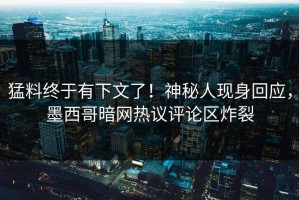 猛料终于有下文了！神秘人现身回应，墨西哥暗网热议评论区炸裂