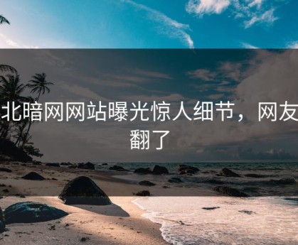 缅北暗网网站曝光惊人细节，网友吵翻了