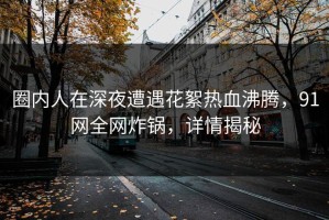 圈内人在深夜遭遇花絮热血沸腾，91网全网炸锅，详情揭秘