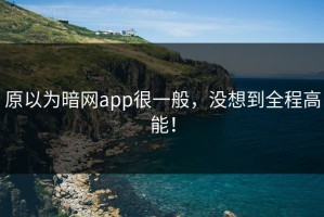 原以为暗网app很一般，没想到全程高能！