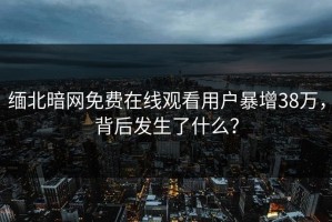缅北暗网免费在线观看用户暴增38万，背后发生了什么？
