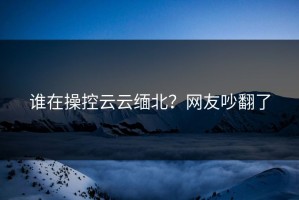 谁在操控云云缅北？网友吵翻了