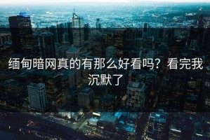缅甸暗网真的有那么好看吗？看完我沉默了