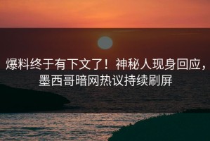 爆料终于有下文了！神秘人现身回应，墨西哥暗网热议持续刷屏