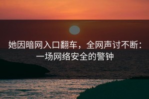 她因暗网入口翻车，全网声讨不断：一场网络安全的警钟