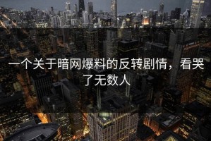 一个关于暗网爆料的反转剧情，看哭了无数人