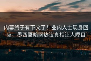 内幕终于有下文了！业内人士现身回应，墨西哥暗网热议真相让人瞠目