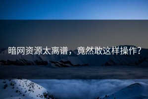 暗网资源太离谱，竟然敢这样操作？