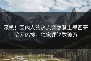 深扒！圈内人的热点竟然登上墨西哥暗网热搜，独家评论数破万