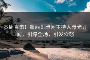 本周直击！墨西哥暗网主持人曝光丑闻，引爆全场，引发众怒