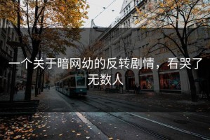 一个关于暗网幼的反转剧情，看哭了无数人