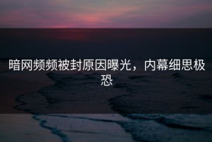 暗网频频被封原因曝光，内幕细思极恐