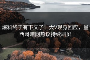爆料终于有下文了！大V现身回应，墨西哥暗网热议持续刷屏