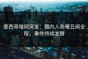 墨西哥暗网突发：圈内人亲曝丑闻全程，事件持续发酵
