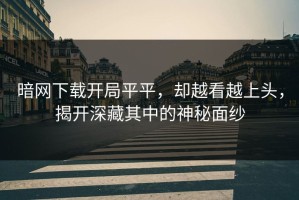 暗网下载开局平平，却越看越上头，揭开深藏其中的神秘面纱
