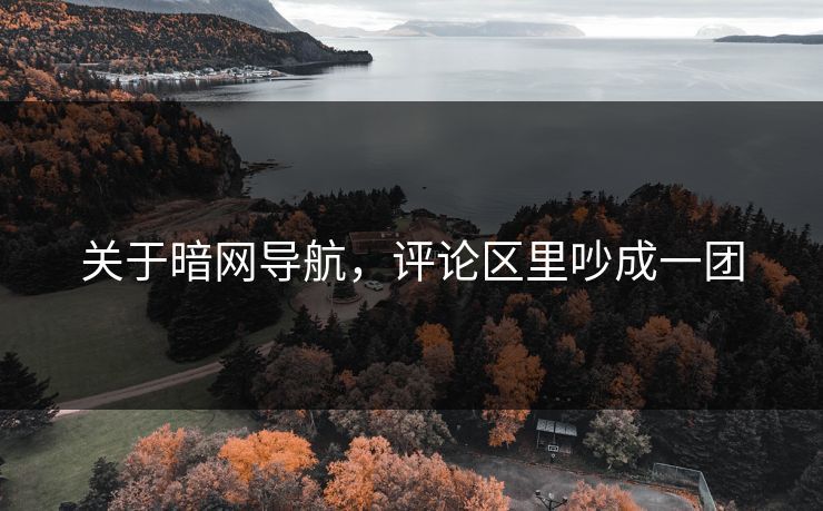 关于暗网导航，评论区里吵成一团