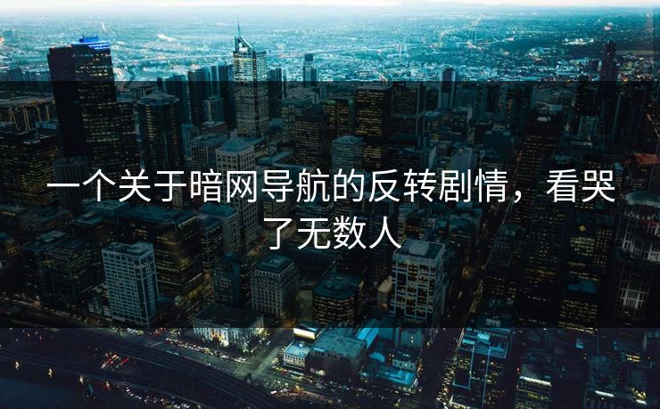 一个关于暗网导航的反转剧情，看哭了无数人