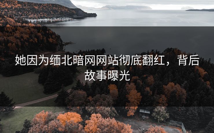 她因为缅北暗网网站彻底翻红，背后故事曝光
