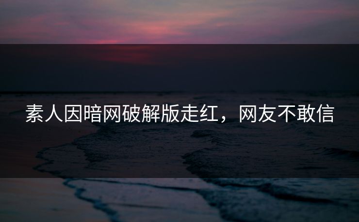 素人因暗网破解版走红，网友不敢信
