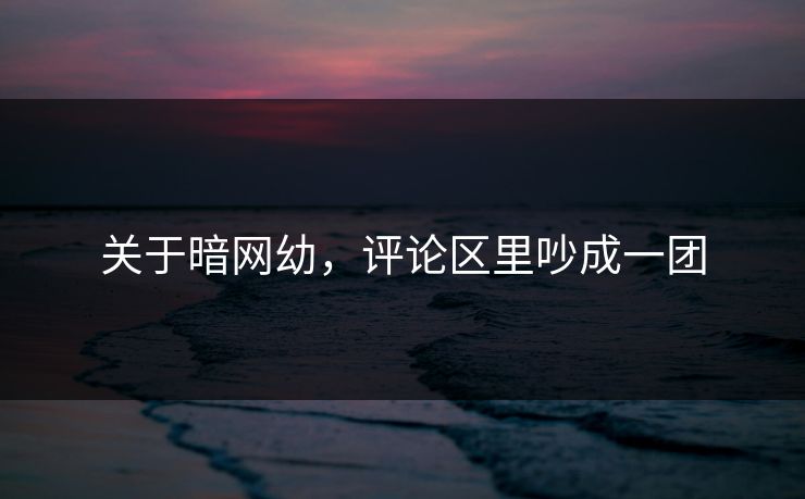 关于暗网幼，评论区里吵成一团