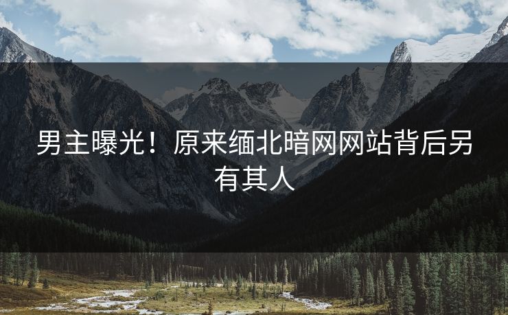 男主曝光！原来缅北暗网网站背后另有其人