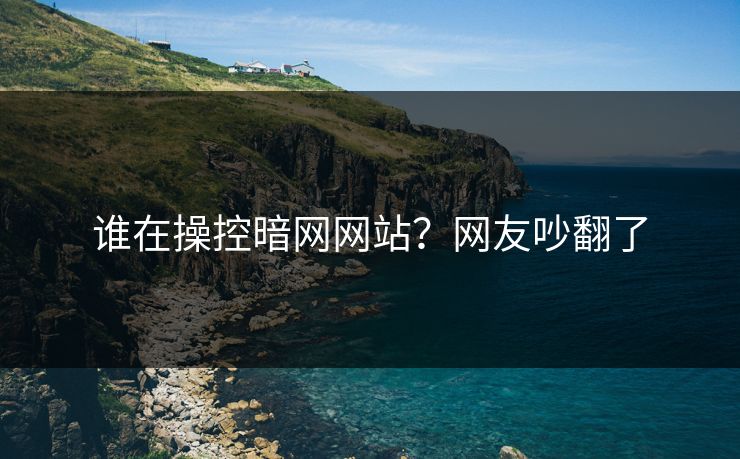 谁在操控暗网网站？网友吵翻了