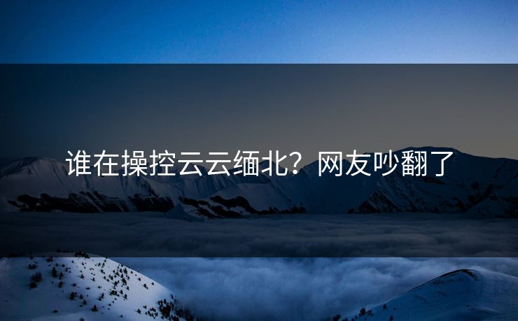 谁在操控云云缅北？网友吵翻了