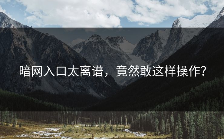 暗网入口太离谱，竟然敢这样操作？
