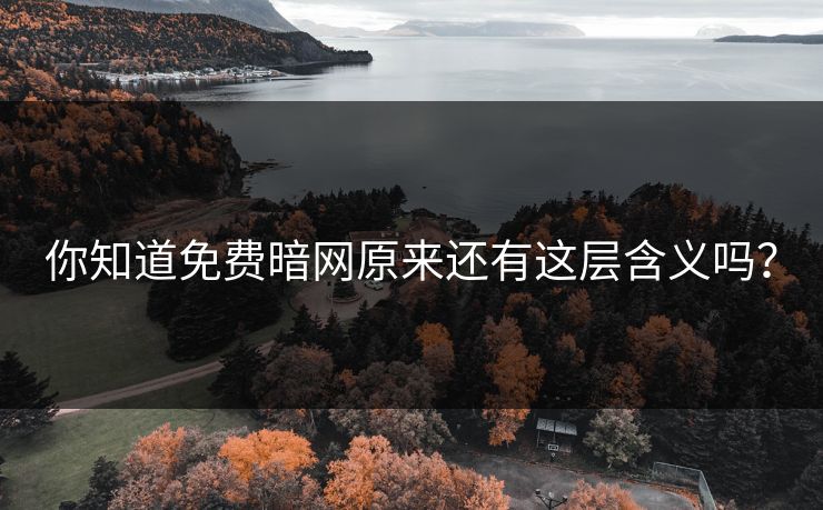 你知道免费暗网原来还有这层含义吗？