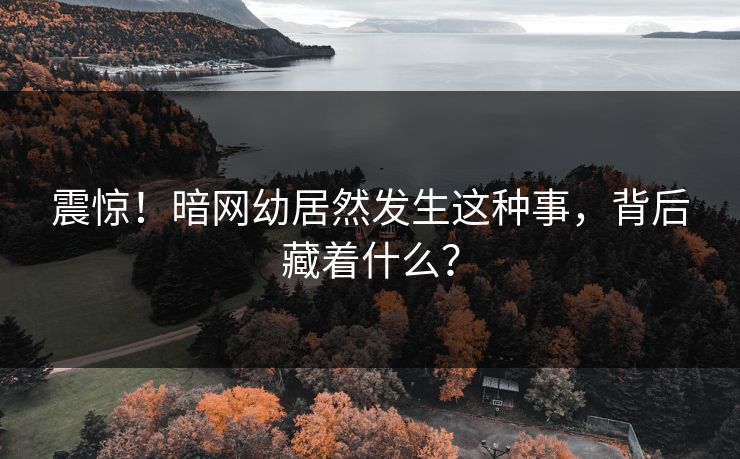震惊！暗网幼居然发生这种事，背后藏着什么？