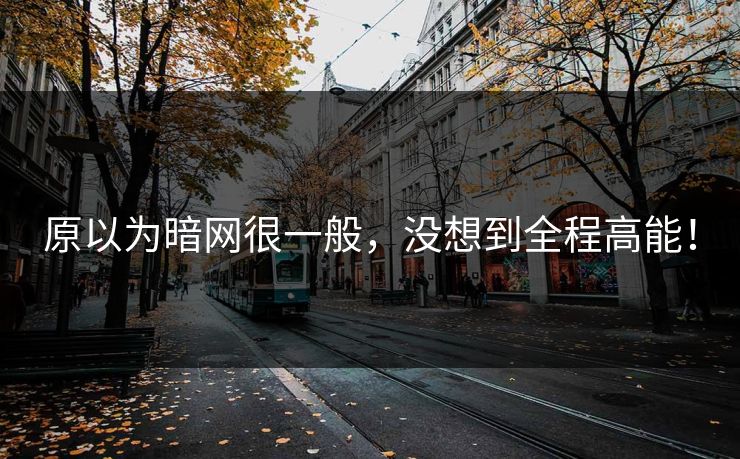 原以为暗网很一般，没想到全程高能！
