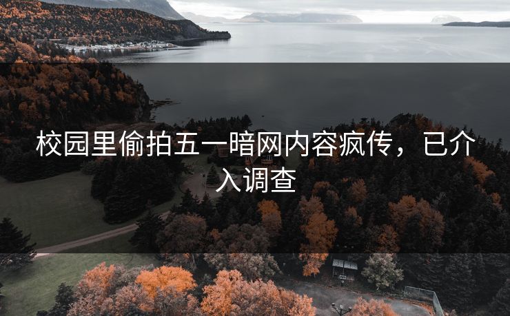校园里偷拍五一暗网内容疯传，已介入调查