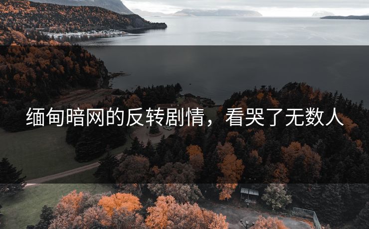 缅甸暗网的反转剧情，看哭了无数人