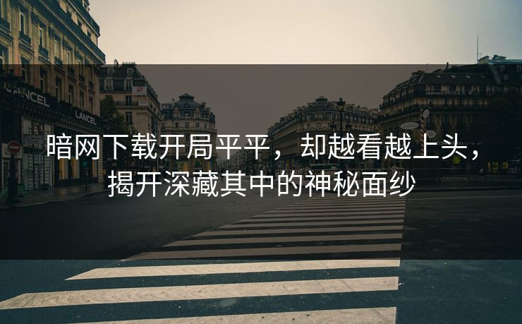 暗网下载开局平平，却越看越上头，揭开深藏其中的神秘面纱